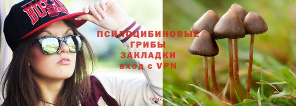 МДМА Сосновка