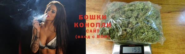 молекула духа Сосновоборск