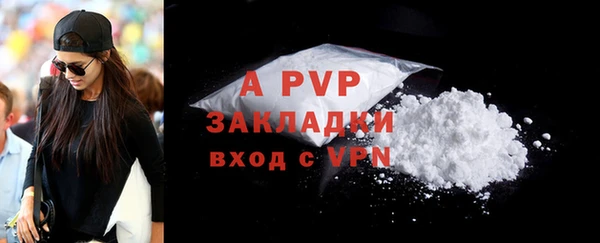 крисы Богородицк
