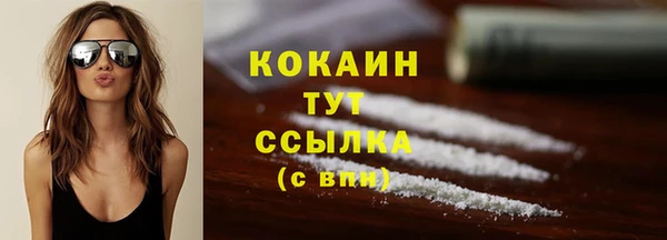 шишки Богданович