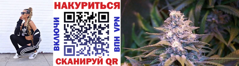 закладки  Южа  Каннабис планчик 